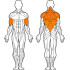 Блок для мышц спины (нижняя тяга) FWF А 104