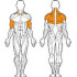 Блок для мышц спины (верхняя тяга) FWF А 105